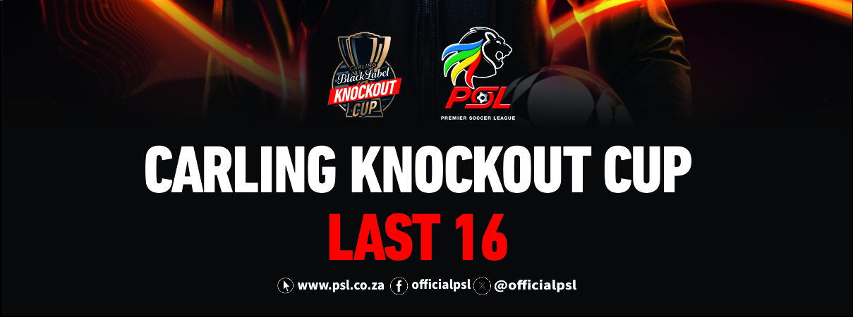 Premier Soccer League (PSL)