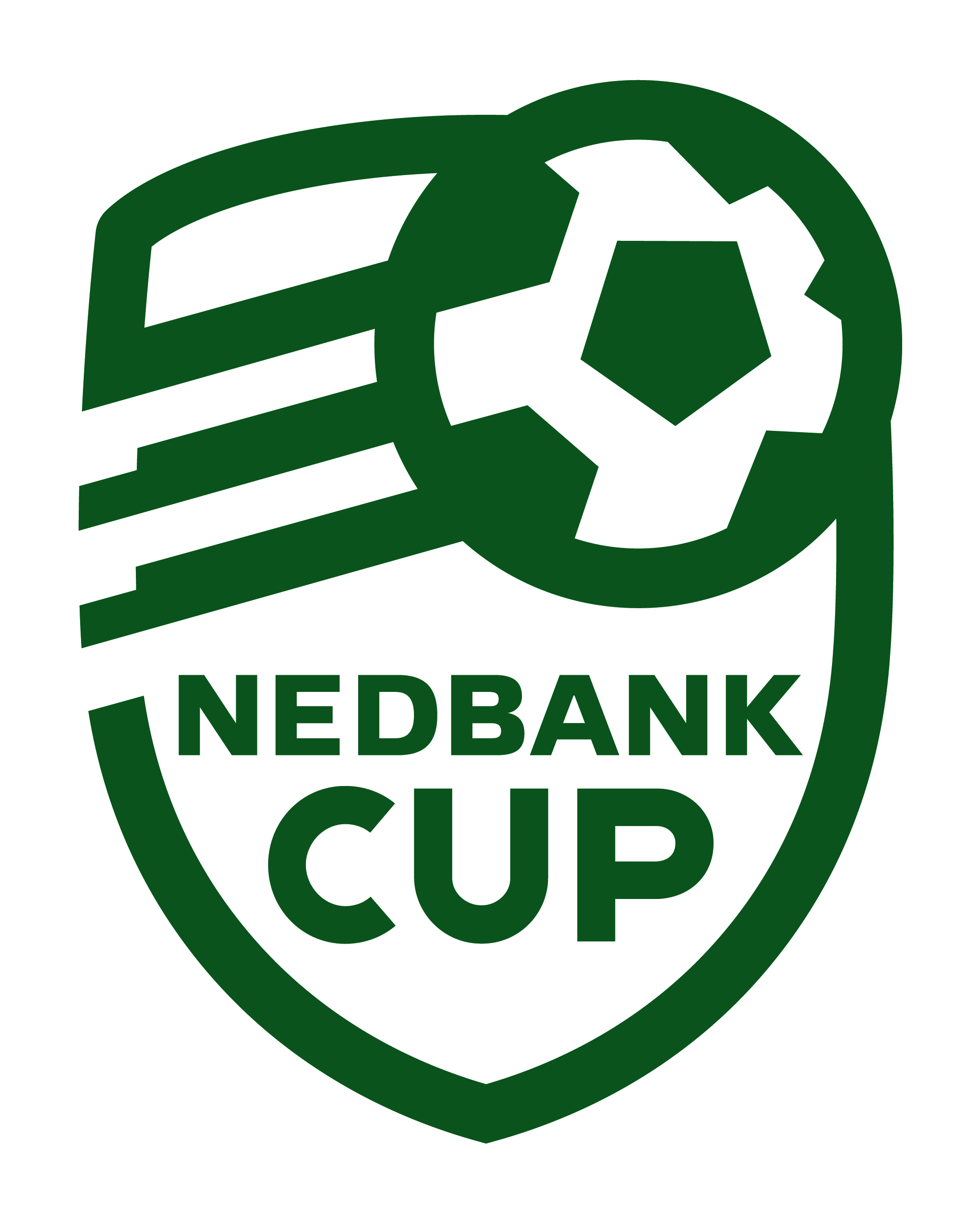 Premier Soccer League (PSL)